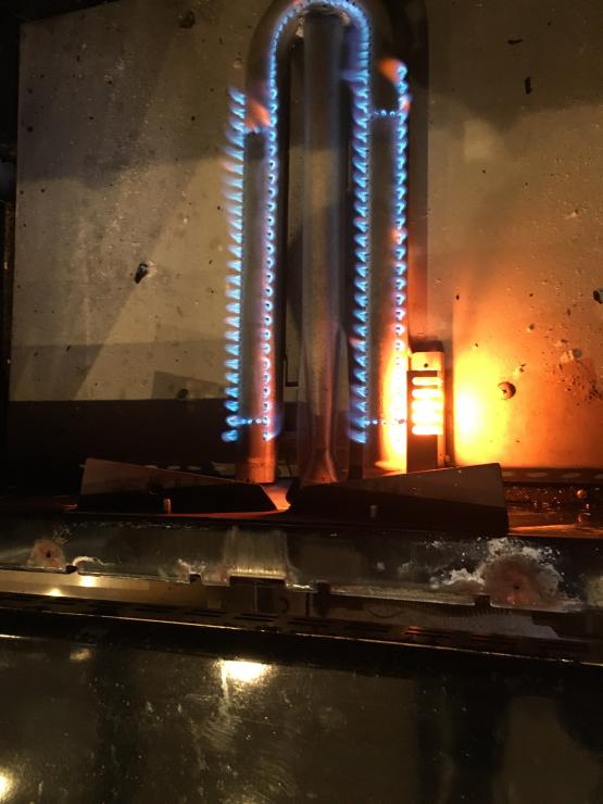 Residential Wolf Oven Repair image